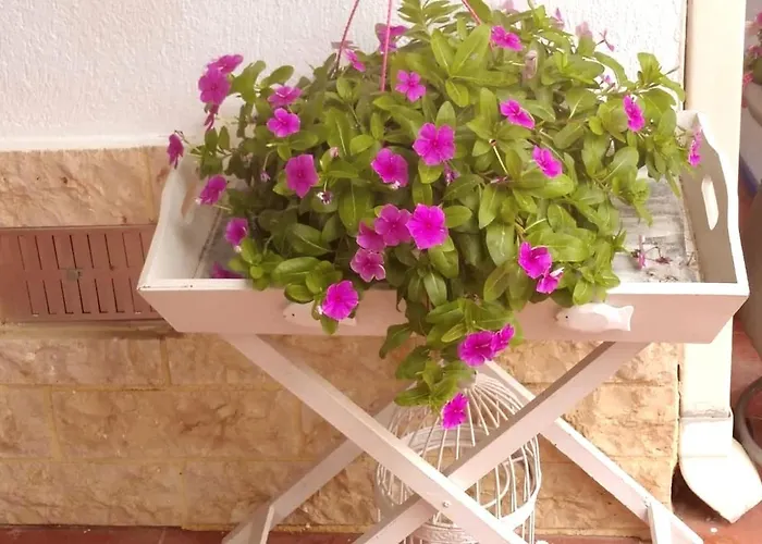 Vasiliki's *